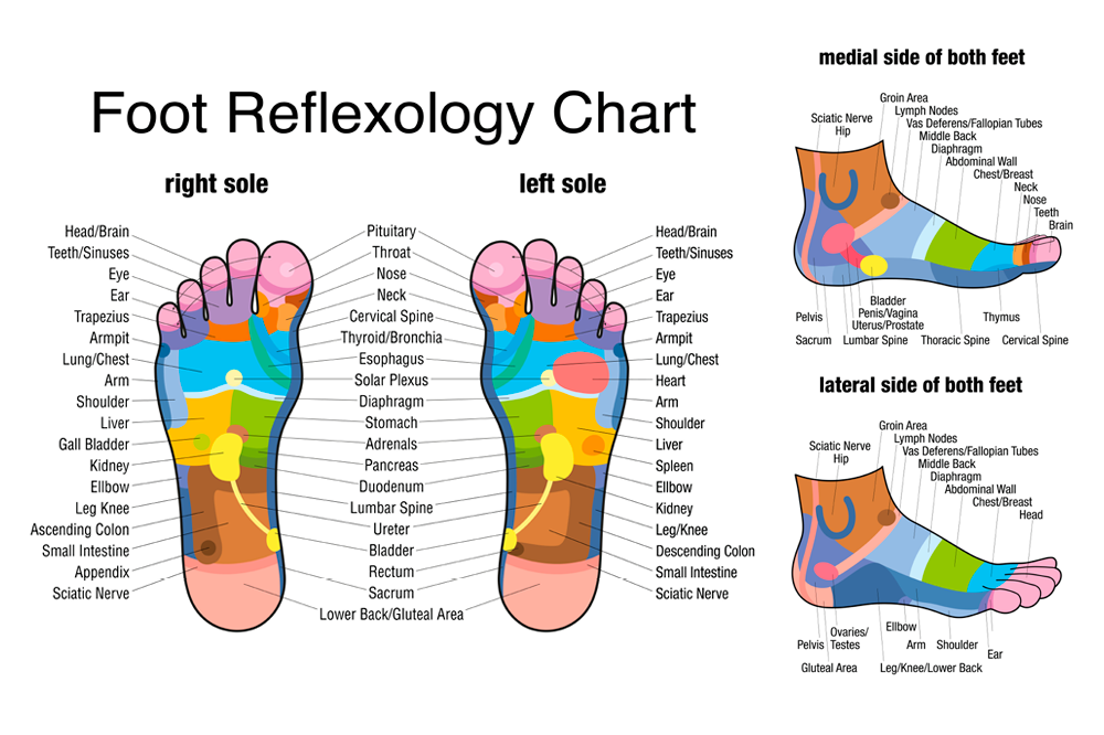 Foot Reflexology Chart