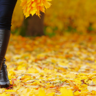 Fall Boots: What Your Boot Pick Says About Your Personality