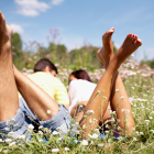 Barefoot Couple In A Field Of Spring Flowers