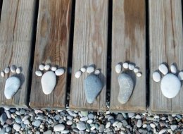 Stones in the Shape of Feet and Toes