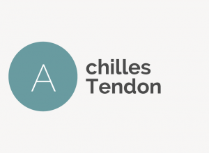 Achilles Tendon Definition 