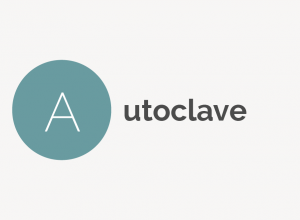 Autoclave Definition 