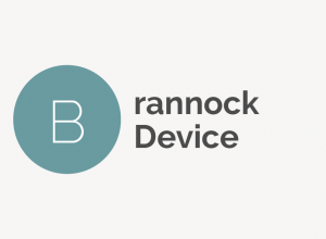 Brannock Device Definition 