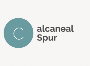 Calcaneal Spur Definition 