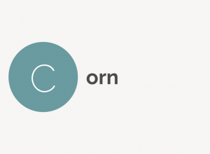Foot Corn Definition 