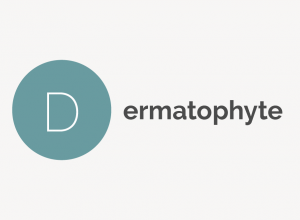 Dermatophyte Definition 