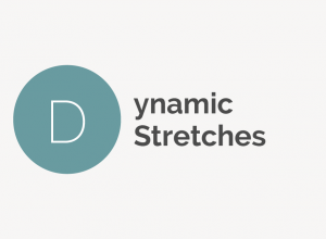Dynamic Stretches Definition 