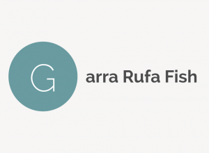 Garra Rufa Fish Definition 