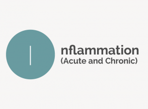 Inflammation Acute and Chronic Definition 