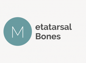 Metatarsal Bones