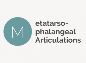 Metatarsophalangeal Articulations