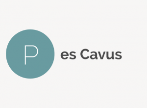 Pes Cavus Definition 