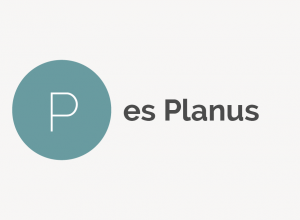 Pes Planus Definition 