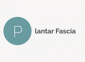 Plantar Fascia Definition 