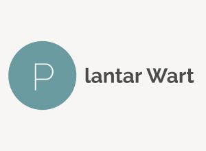 Plantar Wart Definition 