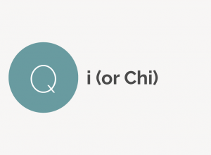 Qi (or Chi) Definition 