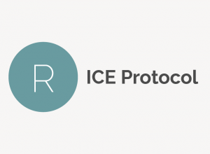 RICE Protocol Definition 