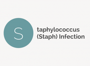 Staphylococcus Infection Definition 