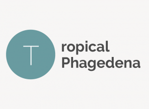 Tropical Phagedena Definition 