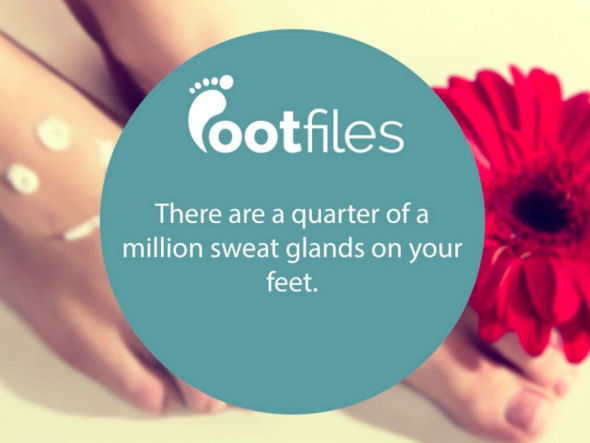 Footfiles Foot Fact Number Sweat Glands In Human Feet