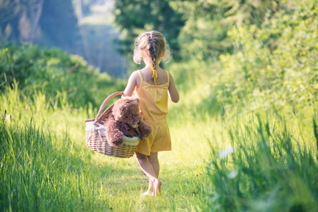 Barefoot Girl Walking In Field With Basket and Teddy Bear